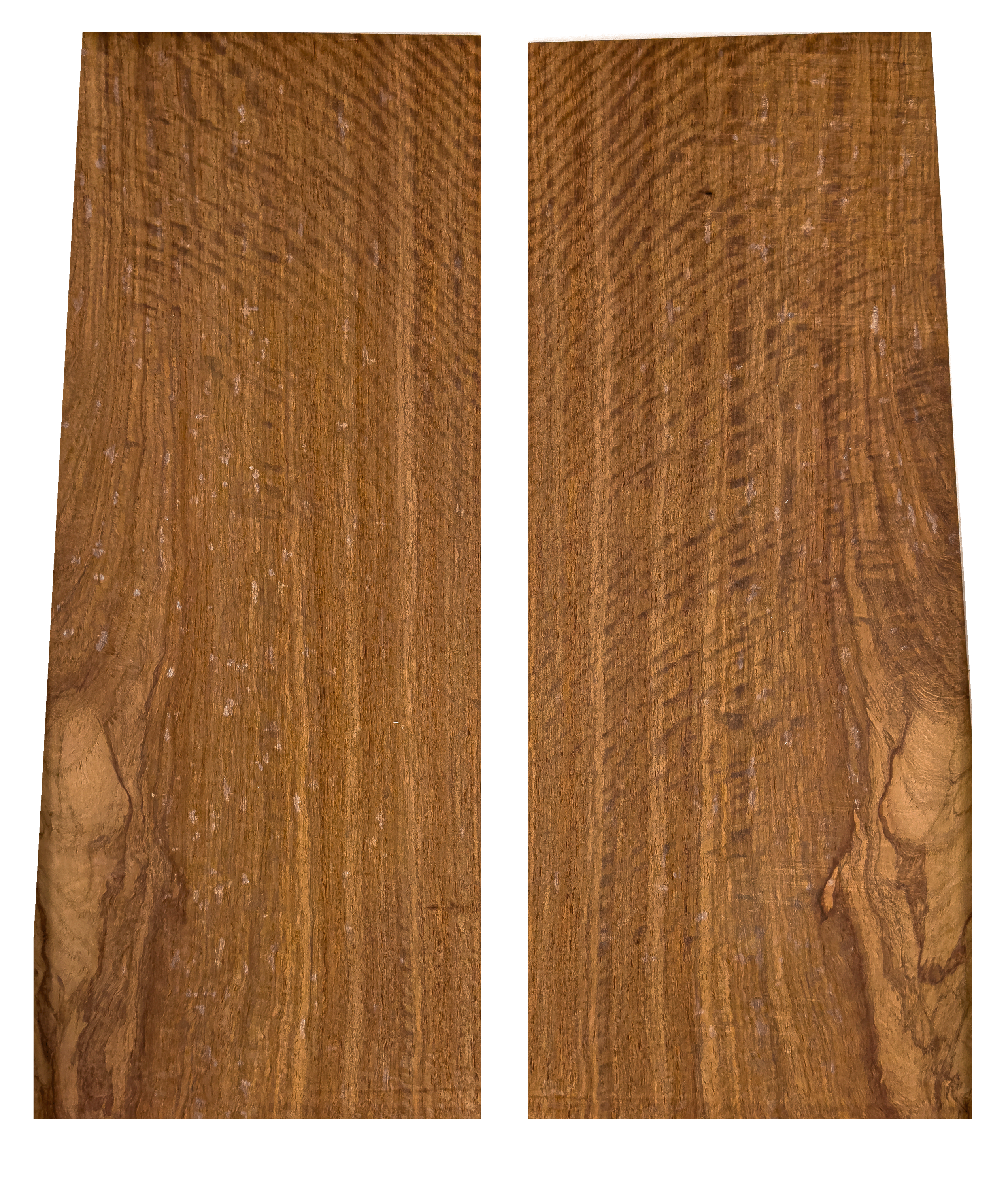 geflammtes Muninga