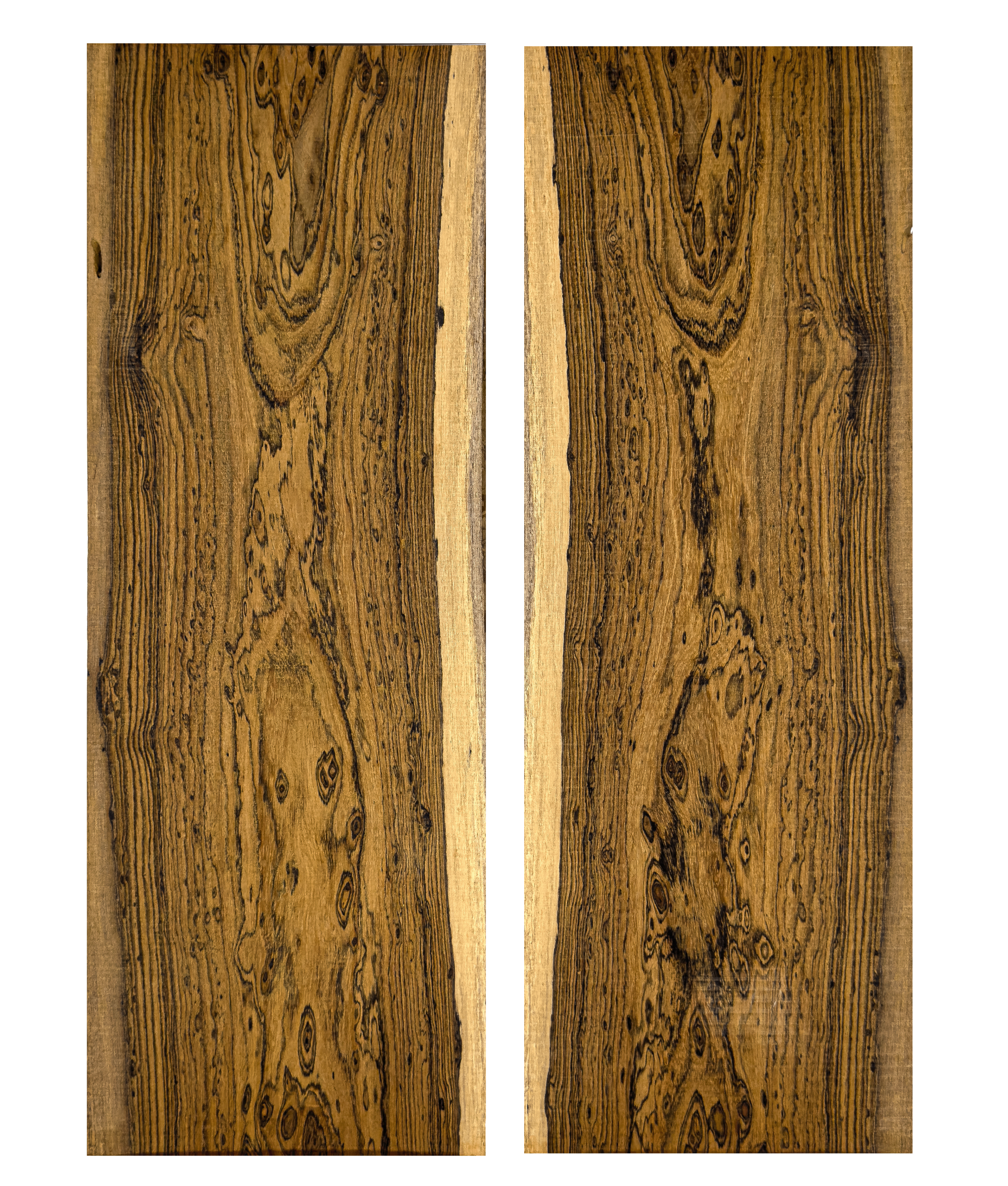 Bocote